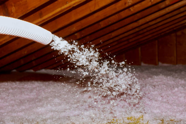 Best Spray Foam Insulation  in Show Low, AZ
